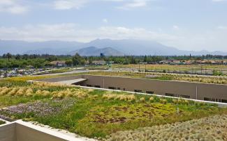 Large roof with versatile vegetion